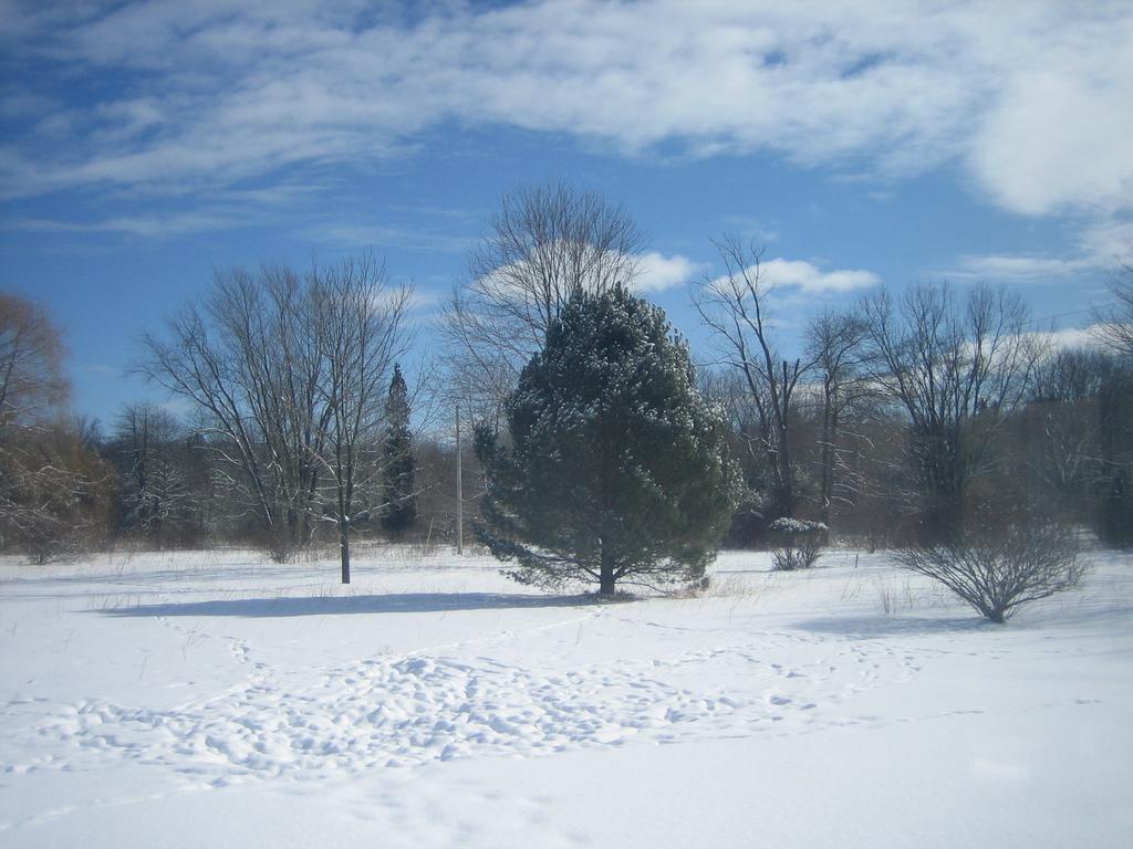 Harbert House Bed&Breakfast Exterior foto